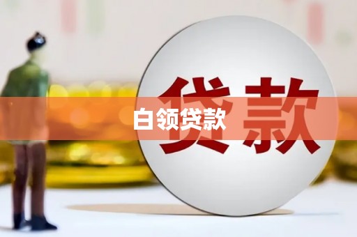 宛城白领贷款