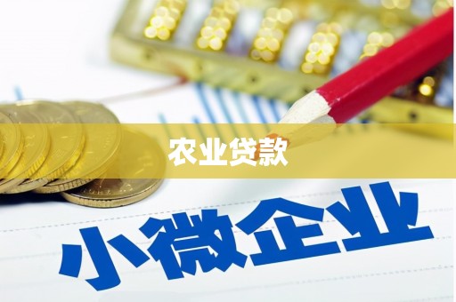 宛城农业贷款