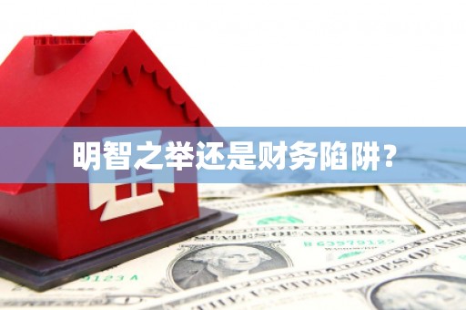 宛城明智之举还是财务陷阱？
