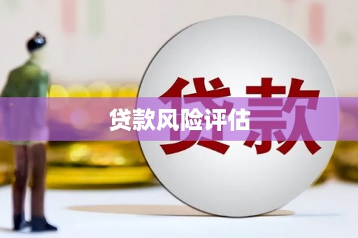 宛城贷款风险评估