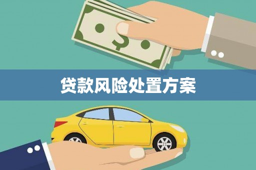 宛城贷款风险处置方案