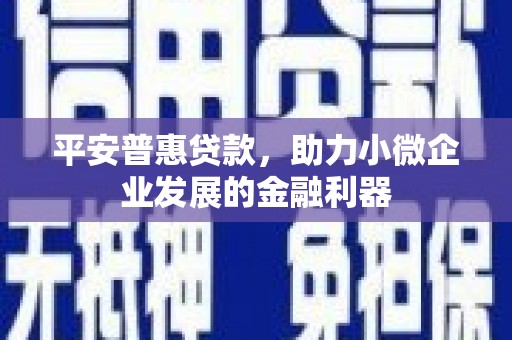 宛城平安普惠贷款，助力小微企业发展的金融利器