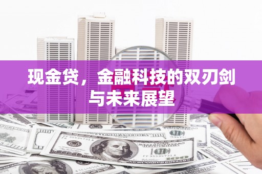 宛城现金贷，金融科技的双刃剑与未来展望