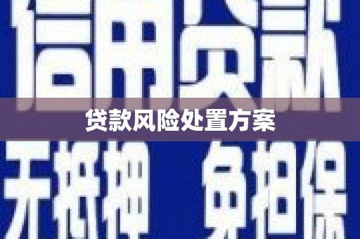 宛城贷款风险处置方案