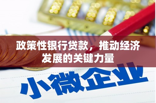 宛城政策性银行贷款，推动经济发展的关键力量
