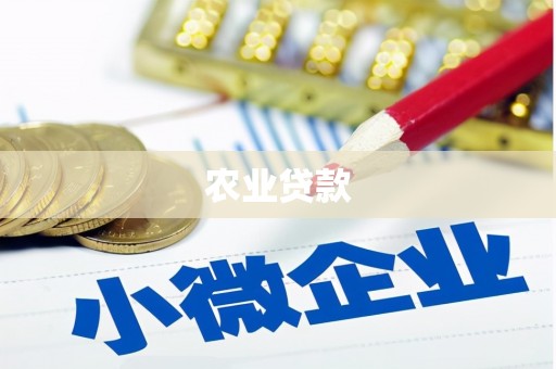 宛城农业贷款