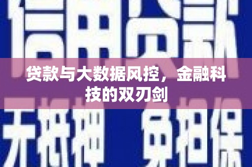 宛城贷款与大数据风控，金融科技的双刃剑