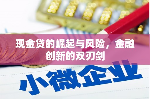 宛城现金贷的崛起与风险，金融创新的双刃剑