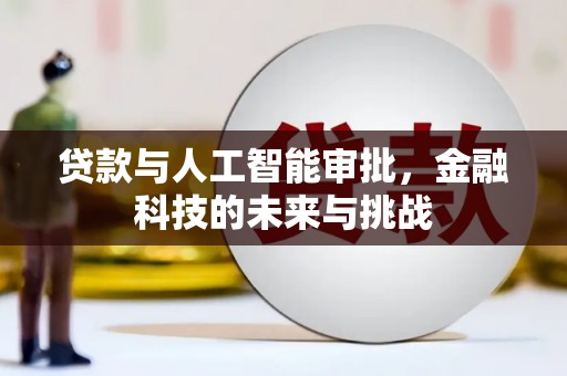 宛城贷款与人工智能审批，金融科技的未来与挑战