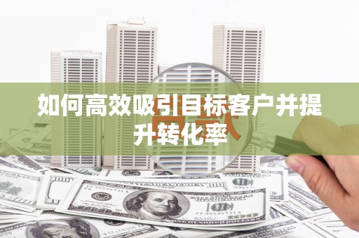 宛城如何高效吸引目标客户并提升转化率
