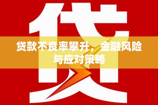 宛城贷款不良率攀升，金融风险与应对策略