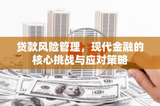 宛城贷款风险管理，现代金融的核心挑战与应对策略