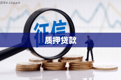 宛城质押贷款
