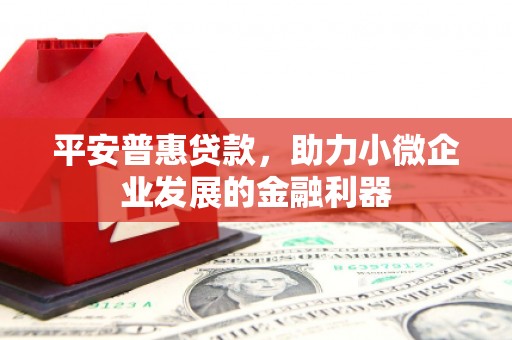 宛城平安普惠贷款，助力小微企业发展的金融利器