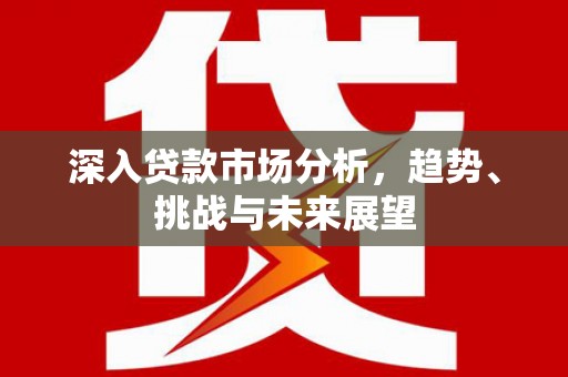 宛城深入贷款市场分析，趋势、挑战与未来展望