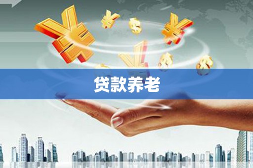宛城贷款养老