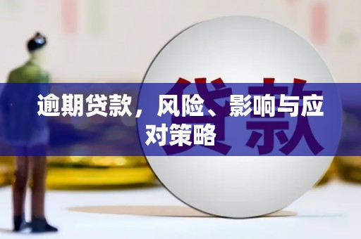 宛城逾期贷款，风险、影响与应对策略