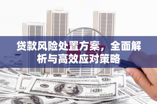 宛城贷款风险处置方案，全面解析与高效应对策略