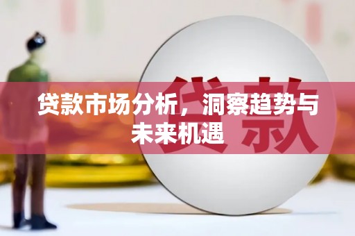 宛城贷款市场分析，洞察趋势与未来机遇