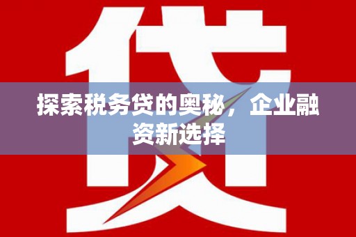 宛城探索税务贷的奥秘，企业融资新选择
