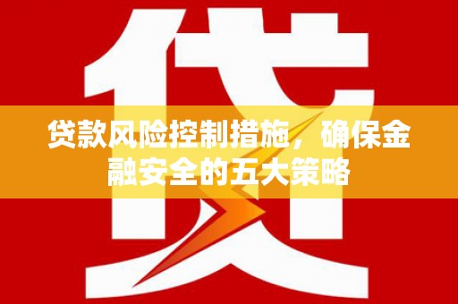 宛城贷款风险控制措施，确保金融安全的五大策略