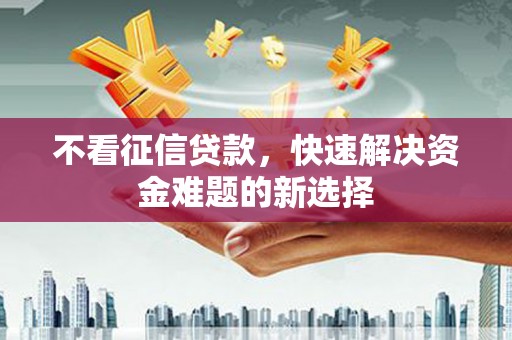 宛城不看征信贷款，快速解决资金难题的新选择