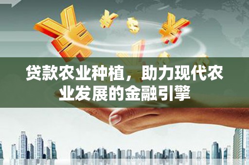宛城贷款农业种植，助力现代农业发展的金融引擎