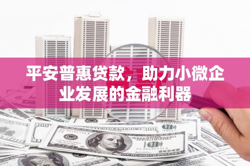 宛城平安普惠贷款，助力小微企业发展的金融利器