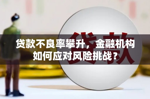 宛城贷款不良率攀升，金融机构如何应对风险挑战？