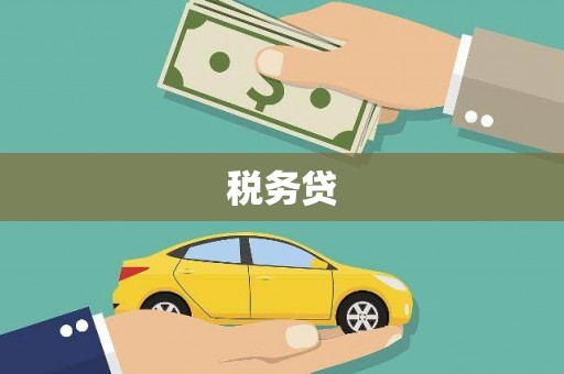宛城税务贷
