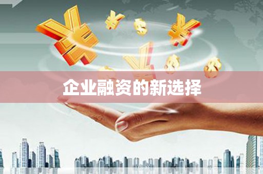 宛城企业融资的新选择