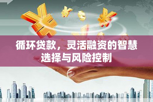 宛城循环贷款，灵活融资的智慧选择与风险控制
