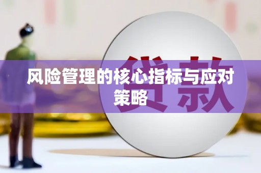 宛城风险管理的核心指标与应对策略
