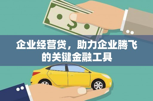 宛城企业经营贷，助力企业腾飞的关键金融工具