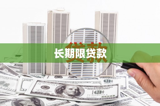 宛城长期限贷款