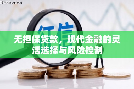 宛城无担保贷款，现代金融的灵活选择与风险控制