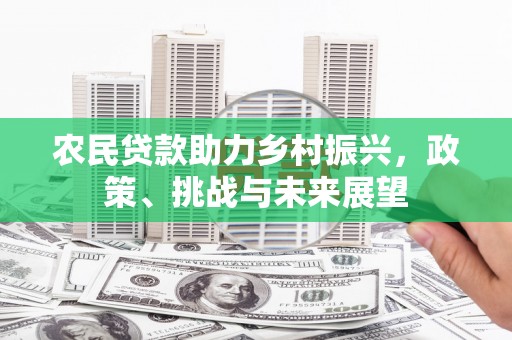 宛城农民贷款助力乡村振兴，政策、挑战与未来展望