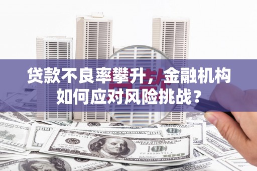 宛城贷款不良率攀升，金融机构如何应对风险挑战？
