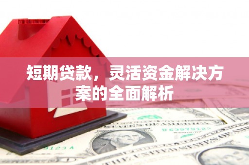 宛城短期贷款，灵活资金解决方案的全面解析