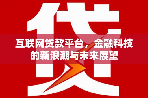 宛城互联网贷款平台，金融科技的新浪潮与未来展望