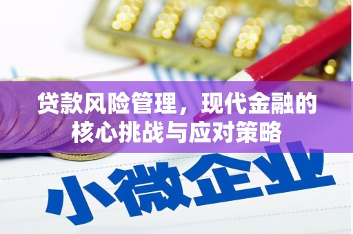 宛城贷款风险管理，现代金融的核心挑战与应对策略