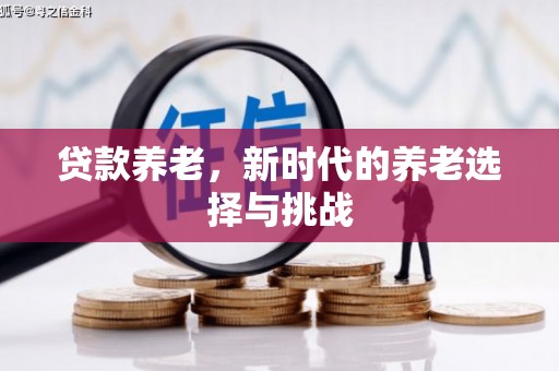 宛城贷款养老，新时代的养老选择与挑战