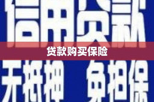 宛城贷款购买保险
