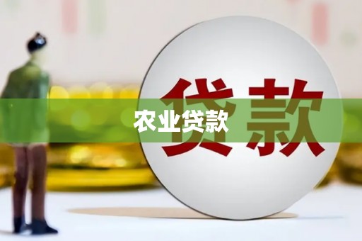 宛城农业贷款