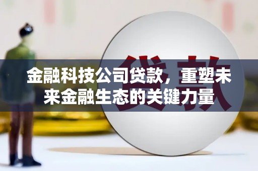 宛城金融科技公司贷款，重塑未来金融生态的关键力量