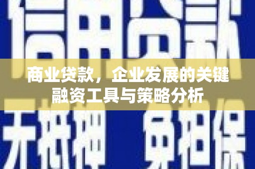宛城商业贷款，企业发展的关键融资工具与策略分析