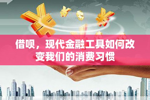 宛城借呗，现代金融工具如何改变我们的消费习惯