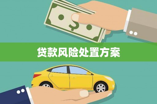 宛城贷款风险处置方案