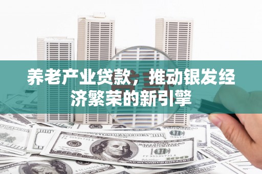 宛城养老产业贷款，推动银发经济繁荣的新引擎