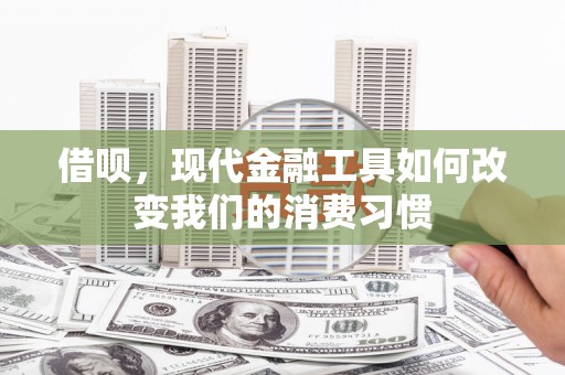 宛城借呗，现代金融工具如何改变我们的消费习惯